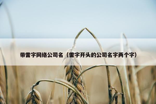 带雷字网络公司名（雷字开头的公司名字两个字）