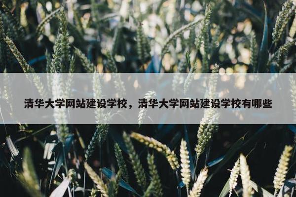 清华大学网站建设学校，清华大学网站建设学校有哪些