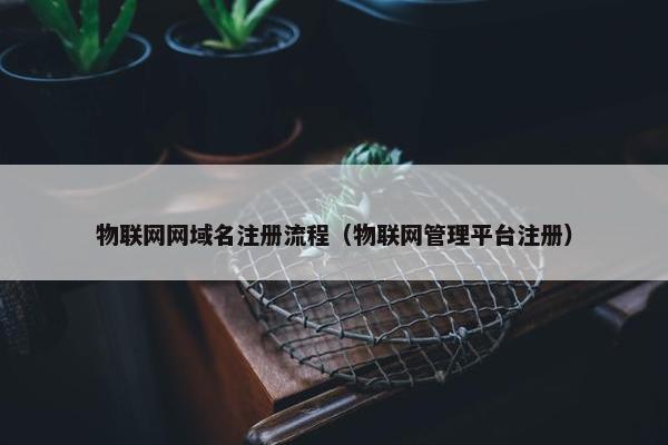 物联网网域名注册流程（物联网管理平台注册）