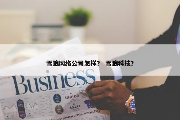 雪狼网络公司怎样？ 雪狼科技？