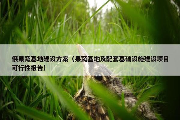 俄果蔬基地建设方案（果蔬基地及配套基础设施建设项目可行性报告）