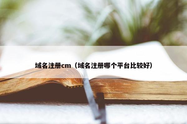 域名注册cm（域名注册哪个平台比较好）