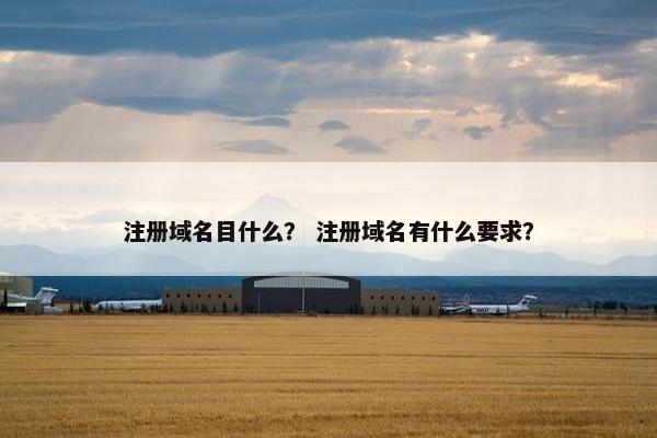 注册域名目什么？ 注册域名有什么要求？