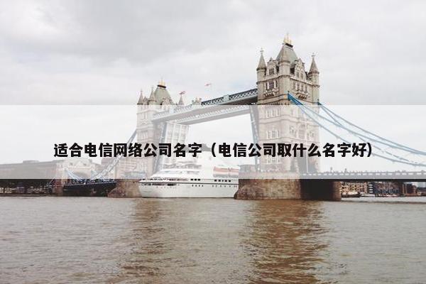 适合电信网络公司名字（电信公司取什么名字好）