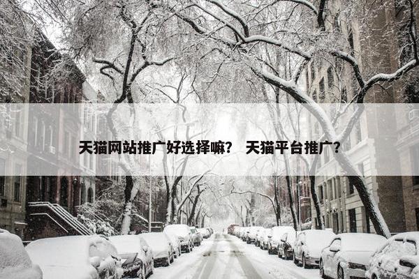 天猫网站推广好选择嘛？ 天猫平台推广？