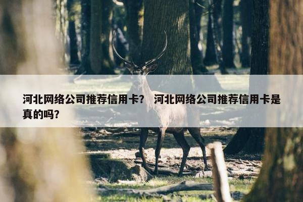 河北网络公司推荐信用卡？ 河北网络公司推荐信用卡是真的吗？