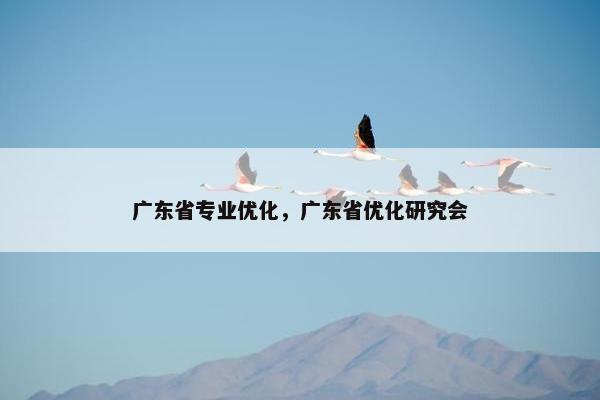 广东省专业优化，广东省优化研究会