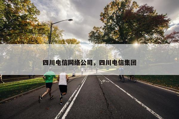 四川电信网络公司，四川电信集团