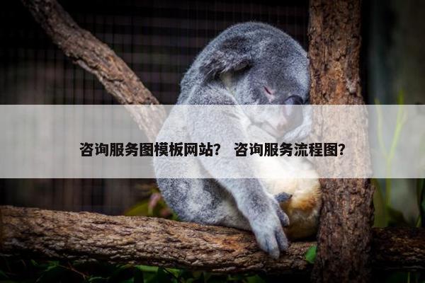 咨询服务图模板网站？ 咨询服务流程图？