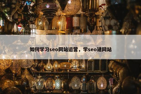 如何学习seo网站运营，学seo建网站