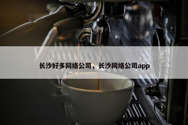长沙好多网络公司，长沙网络公司app