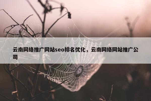 云南网络推广网站seo排名优化，云南网络网站推广公司