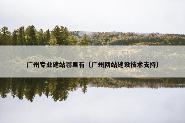广州专业建站哪里有（广州网站建设技术支持）