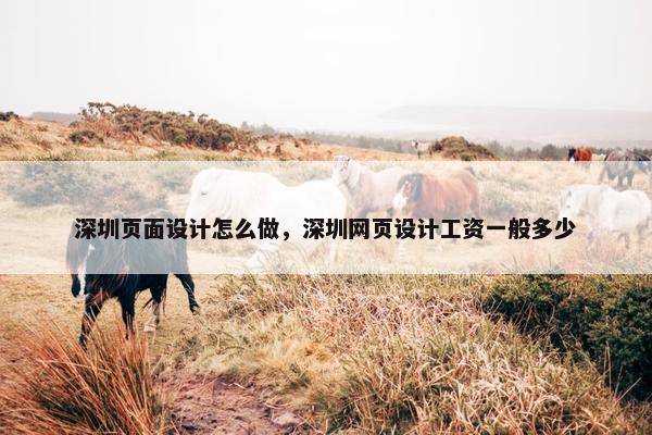 深圳页面设计怎么做，深圳网页设计工资一般多少