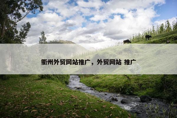 衢州外贸网站推广，外贸网站 推广