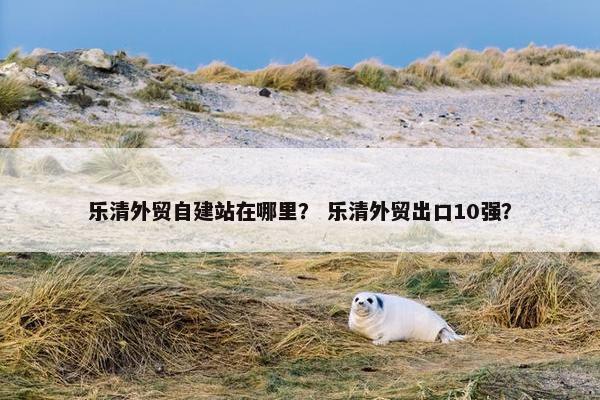 乐清外贸自建站在哪里？ 乐清外贸出口10强？