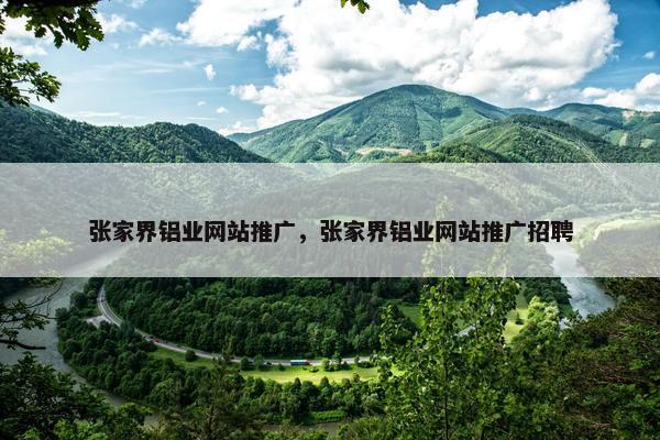 张家界铝业网站推广，张家界铝业网站推广招聘