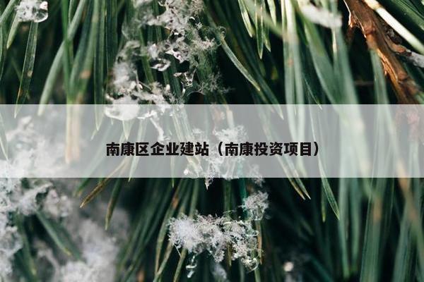 南康区企业建站（南康投资项目）