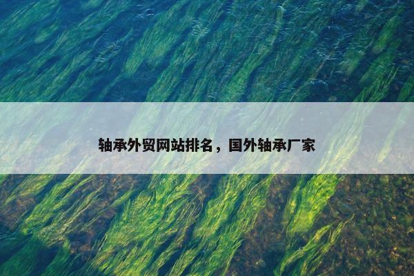 轴承外贸网站排名，国外轴承厂家