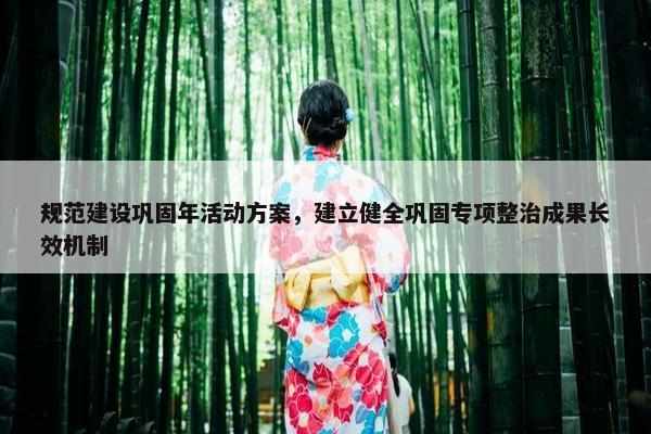 规范建设巩固年活动方案，建立健全巩固专项整治成果长效机制