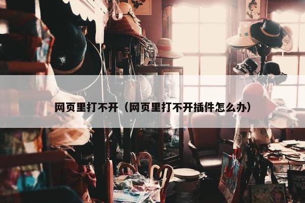 网页里打不开（网页里打不开插件怎么办）
