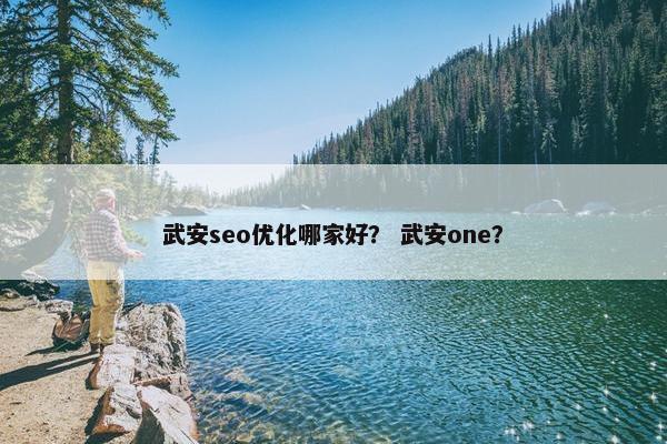 武安seo优化哪家好？ 武安one？