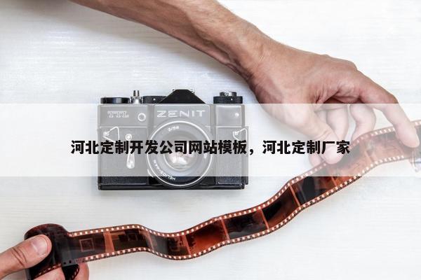 河北定制开发公司网站模板，河北定制厂家