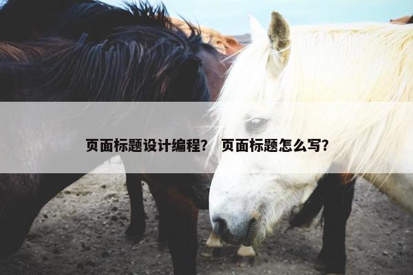 页面标题设计编程？ 页面标题怎么写？