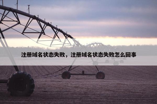 注册域名状态失败，注册域名状态失败怎么回事