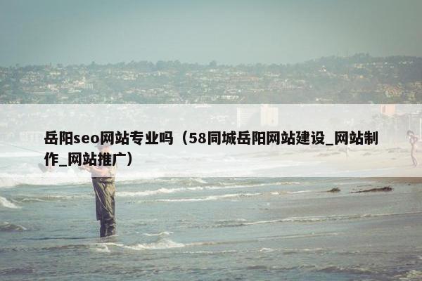 岳阳seo网站专业吗（58同城岳阳网站建设_网站制作_网站推广）