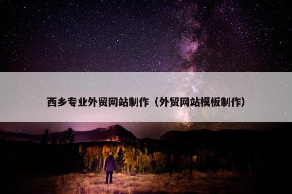 西乡专业外贸网站制作（外贸网站模板制作）