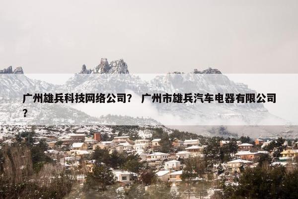 广州雄兵科技网络公司？ 广州市雄兵汽车电器有限公司？
