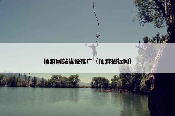 仙游网站建设推广（仙游招标网）