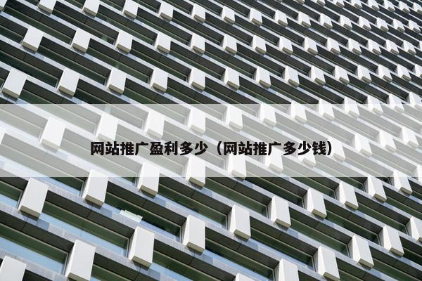 网站推广盈利多少（网站推广多少钱）