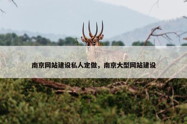 南京网站建设私人定做，南京大型网站建设
