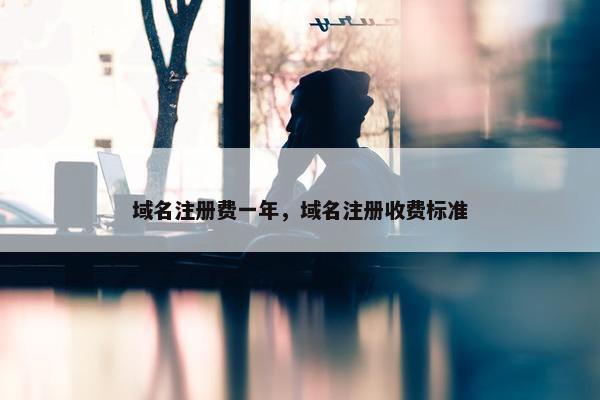 域名注册费一年，域名注册收费标准