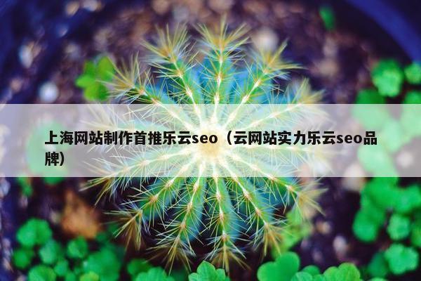 上海网站制作首推乐云seo（云网站实力乐云seo品牌）