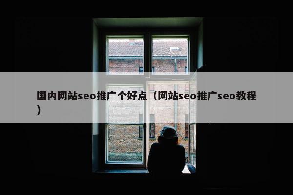 国内网站seo推广个好点（网站seo推广seo教程）