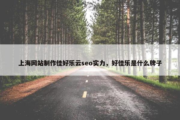 上海网站制作佳好乐云seo实力，好佳乐是什么牌子