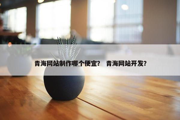 青海网站制作哪个便宜？ 青海网站开发？