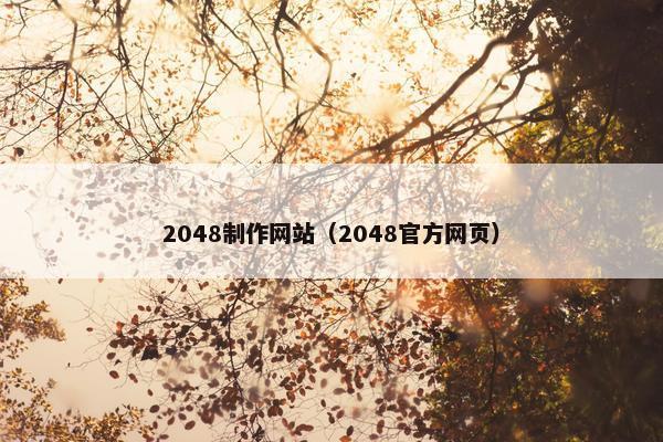 2048制作网站（2048官方网页）