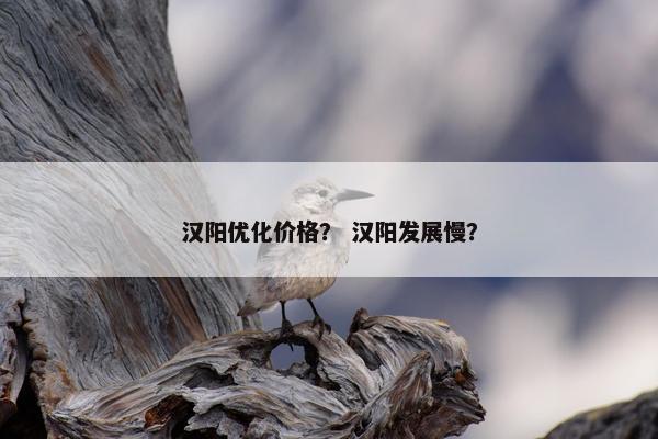 汉阳优化价格？ 汉阳发展慢？
