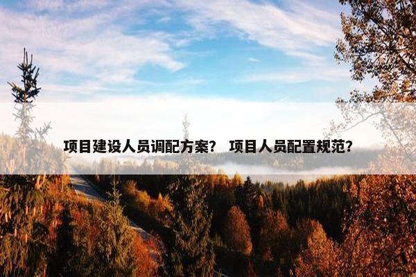 项目建设人员调配方案？ 项目人员配置规范？