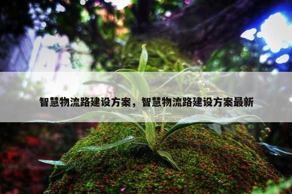智慧物流路建设方案，智慧物流路建设方案最新