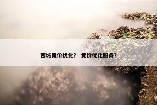 西城竞价优化？ 竞价优化服务？