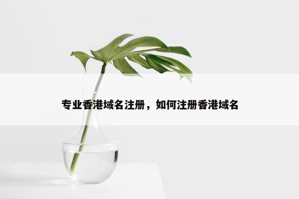专业香港域名注册，如何注册香港域名