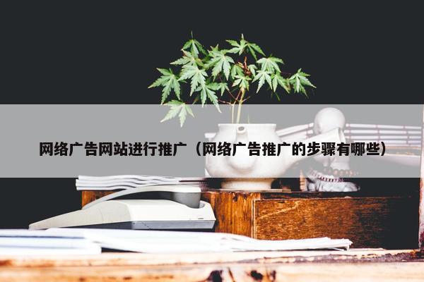 网络广告网站进行推广（网络广告推广的步骤有哪些）