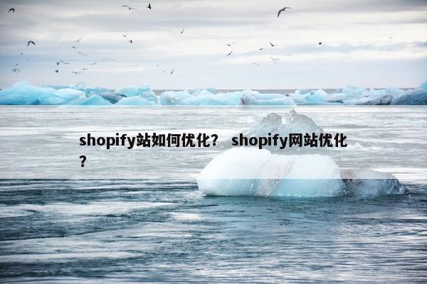 shopify站如何优化？ shopify网站优化？