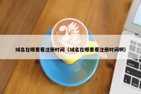 域名在哪里看注册时间（域名在哪里看注册时间啊）