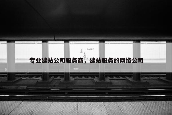 专业建站公司服务商，建站服务的网络公司